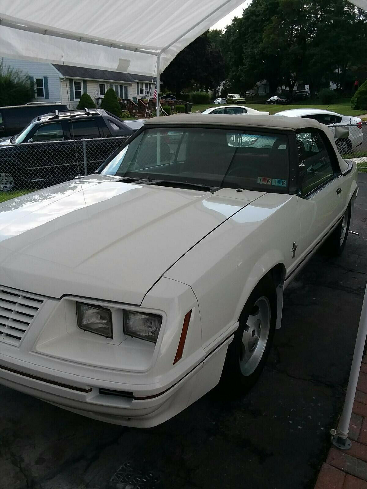 1984 Ford Mustang - photo 9