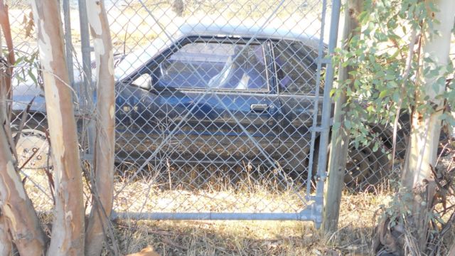 1984 Ford Mustang SVO - photo 5