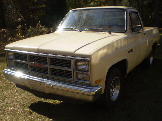 1984 GMC Sierra 1500 BIEGE VINYL RUBBER FLOOR MAT - photo 3