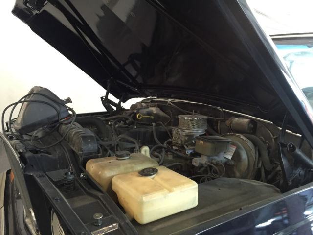 1984 Jeep Wagoneer Grand Wagoneer - photo 10