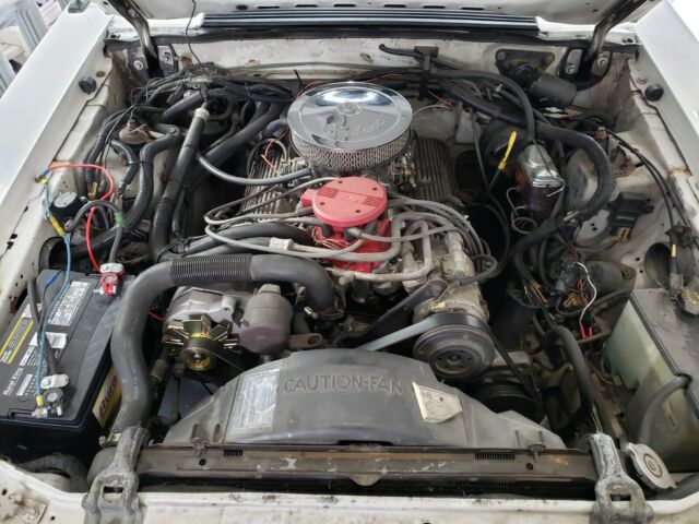 1984 Ford Mustang - photo 10