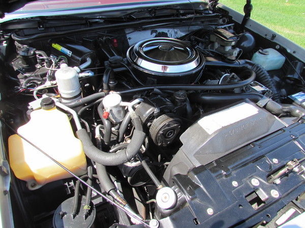 1984 Oldsmobile Cutlass - photo 8