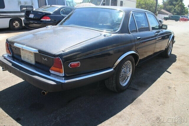 1983 Jaguar XJ-Series XJ6 - photo 6