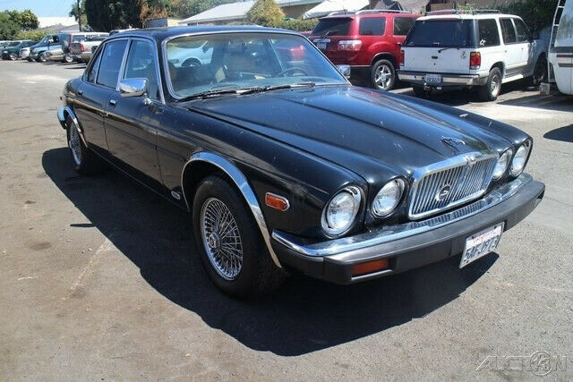 1983 Jaguar XJ-Series XJ6 - photo 8