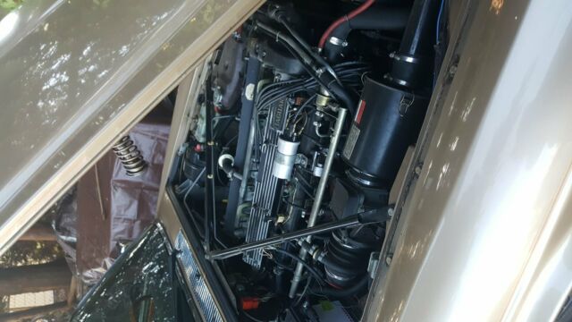 1984 Jaguar XJ6 Chrome - photo 5