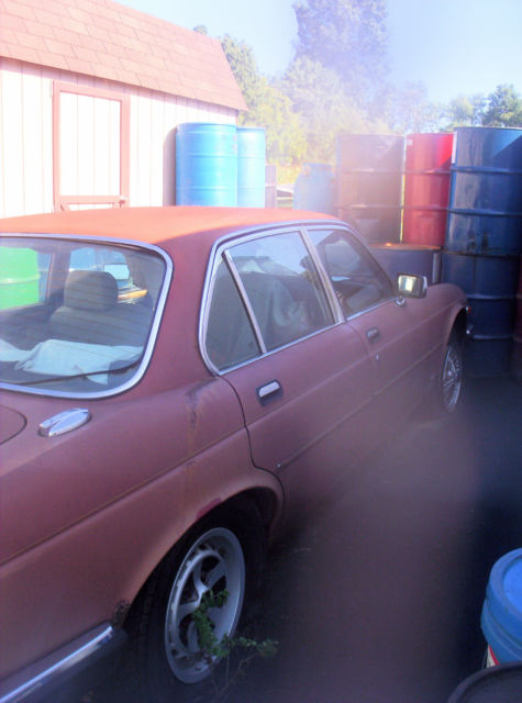1984 Jaguar XJ6 VDP - photo 7