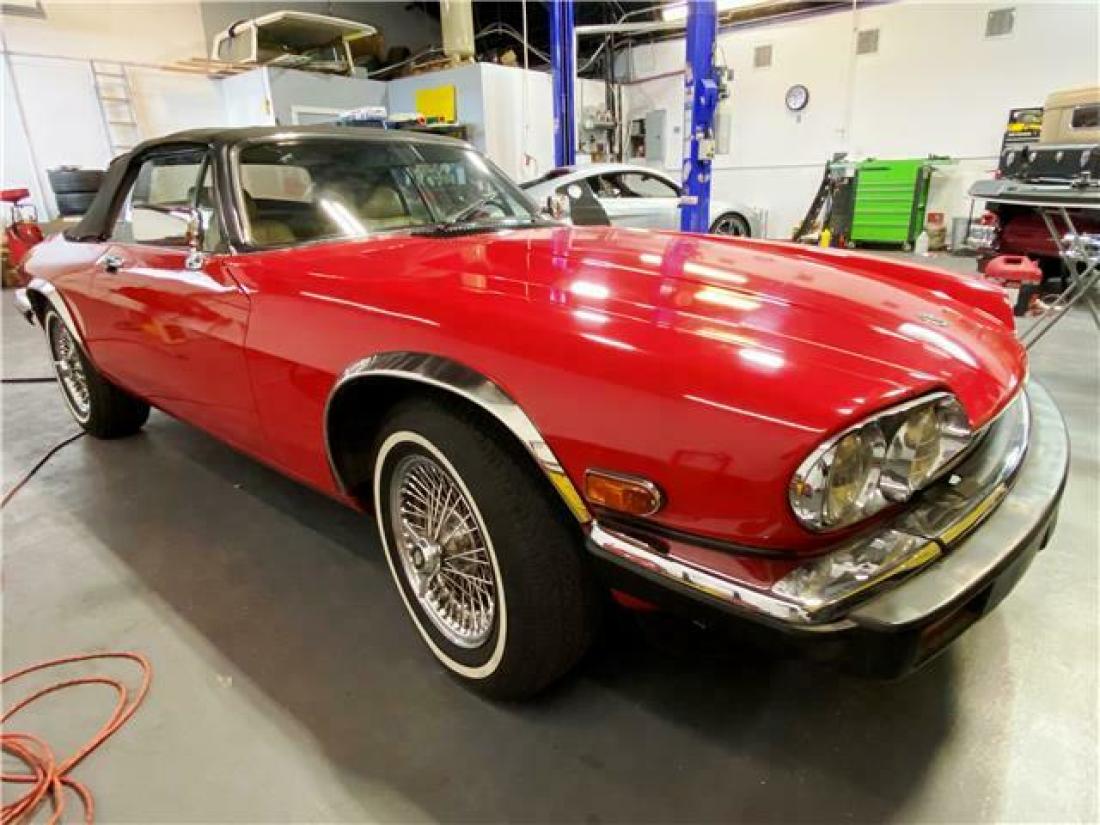 1984 Jaguar XJS - photo 12