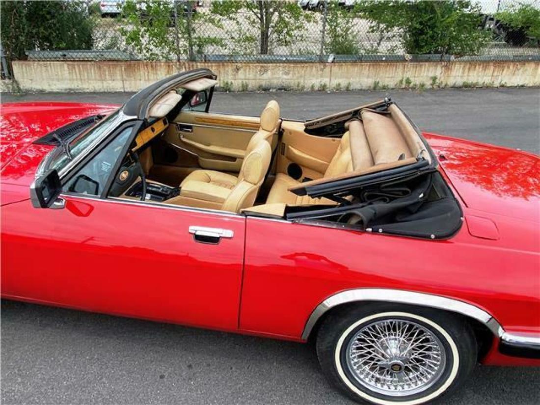 1984 Jaguar XJS - photo 3