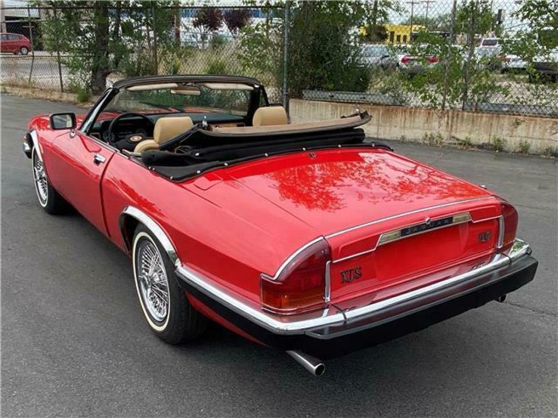 1984 Jaguar XJS - photo 4