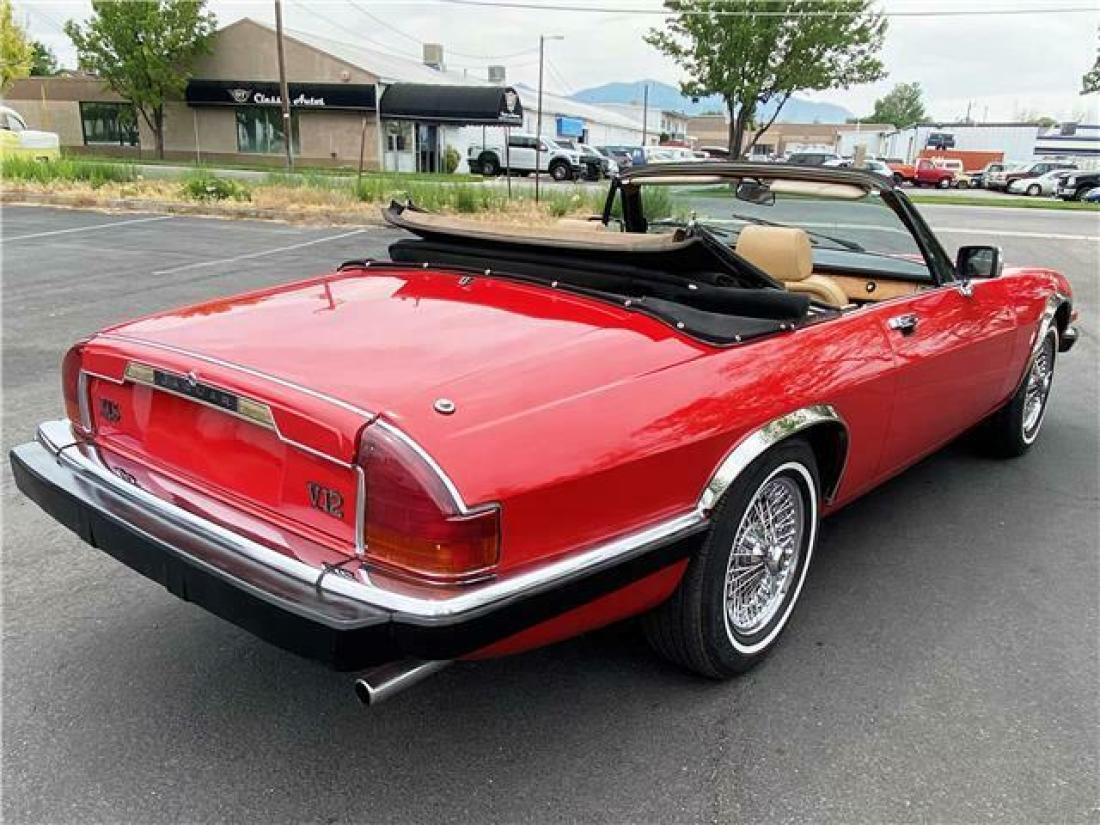 1984 Jaguar XJS - photo 5