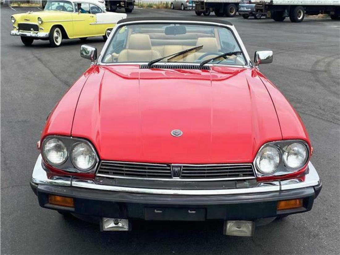 1984 Jaguar XJS - photo 7