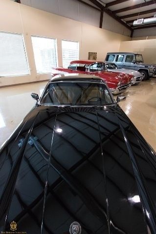 1984 Jaguar XJS HE - photo 5