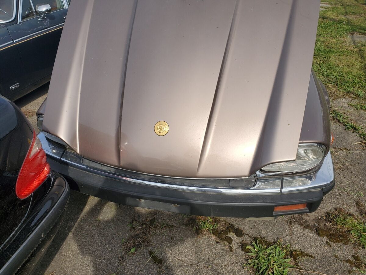 1984 Jaguar XJS - photo 6