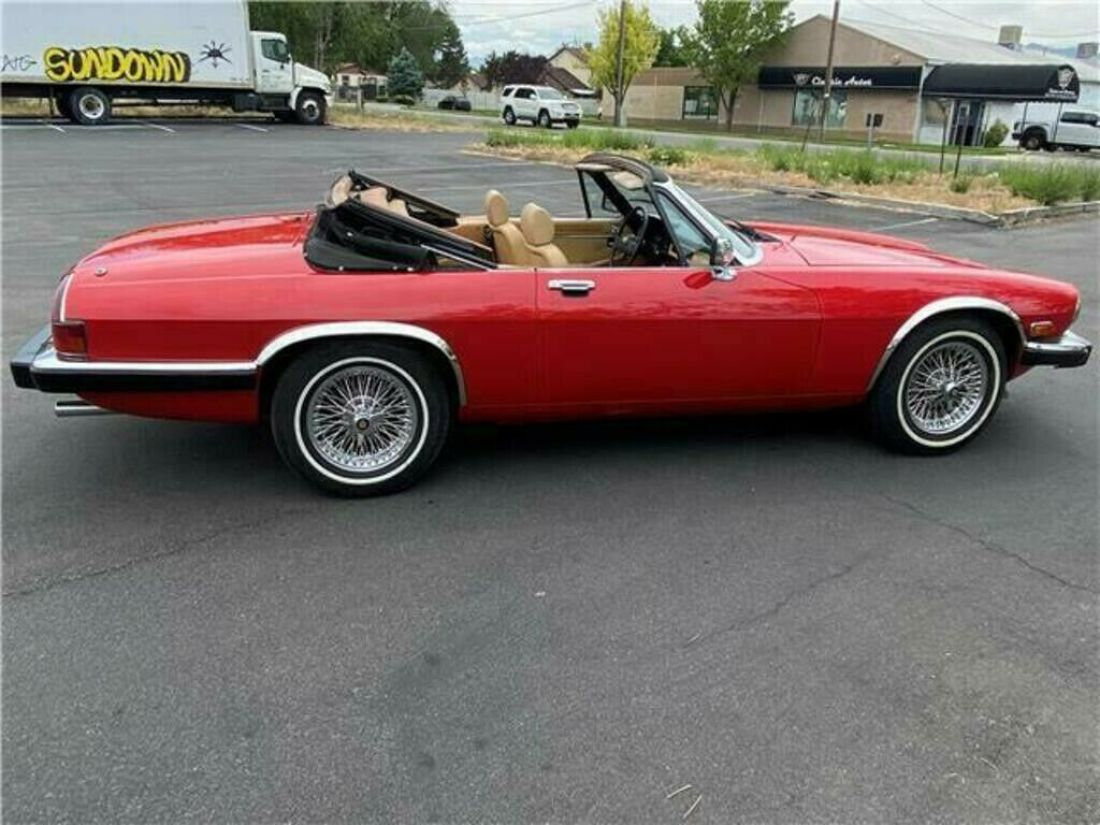 1984 Jaguar XJS - photo 5