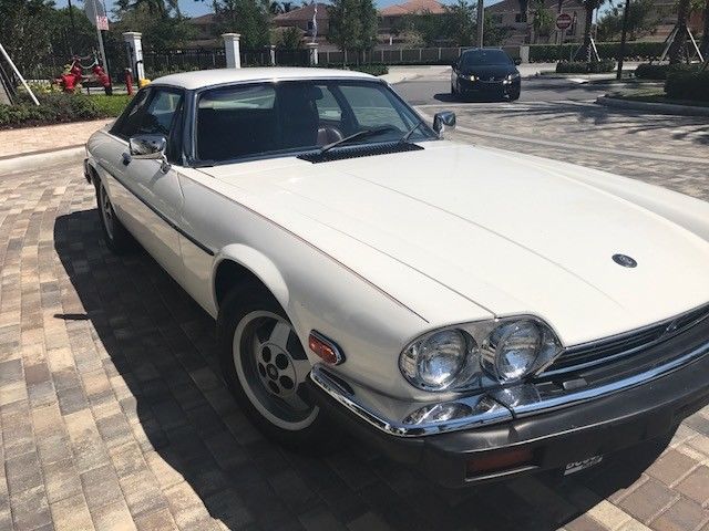 1984 Jaguar XJS - photo 4