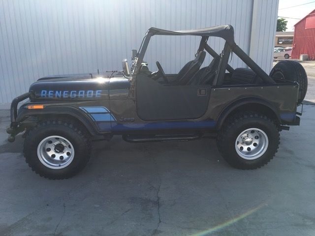 1984 Jeep CJ Renegade - photo 11