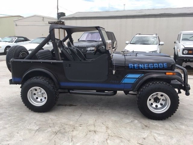 1984 Jeep CJ Renegade - photo 8