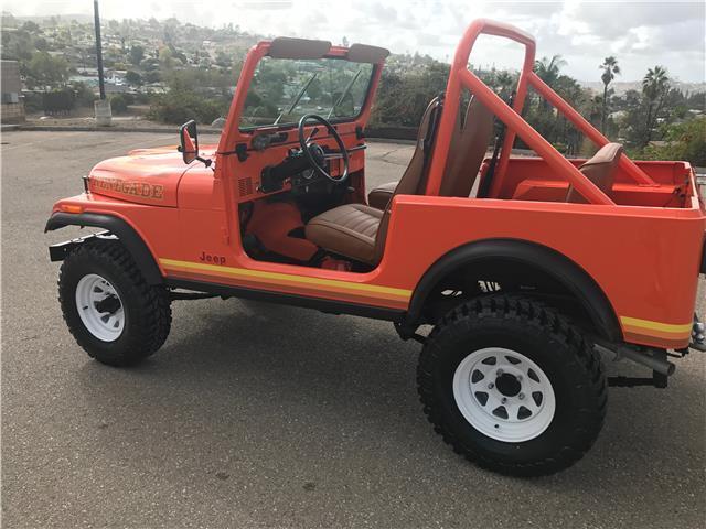 1984 Jeep CJ CJ7 RENEGADE - photo 8