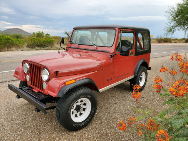 1984 Jeep CJ Renegade - photo 6