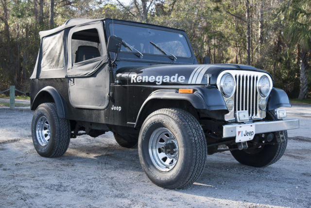 1984 Jeep CJ7 Renegade Sport Utility 2-Door 4.2L 1984 Jeep Other Renegade Sport Utility 2-Door