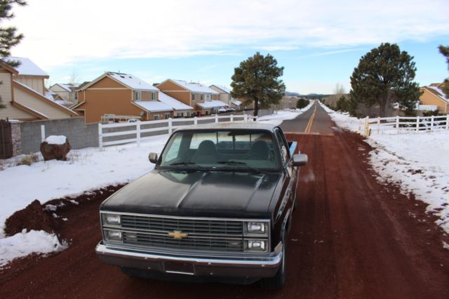 1984 Chevrolet C-10 - photo 6