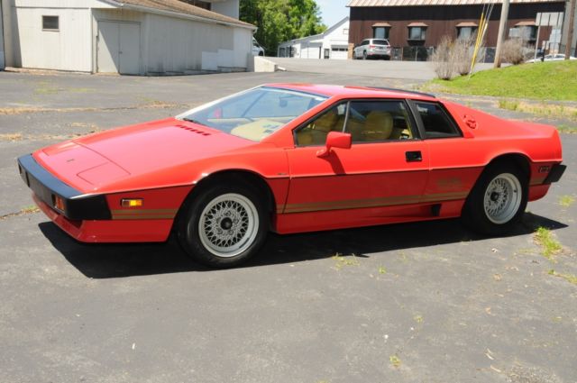 1984 Lotus Esprit Turbo - photo 5