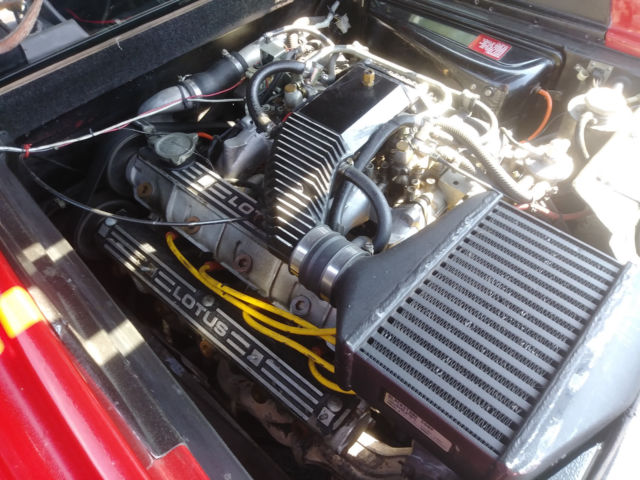 1984 Lotus Esprit Turbo - photo 4