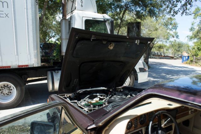 1984 Rolls-Royce Silver Spirit/Spur/Dawn - photo 9