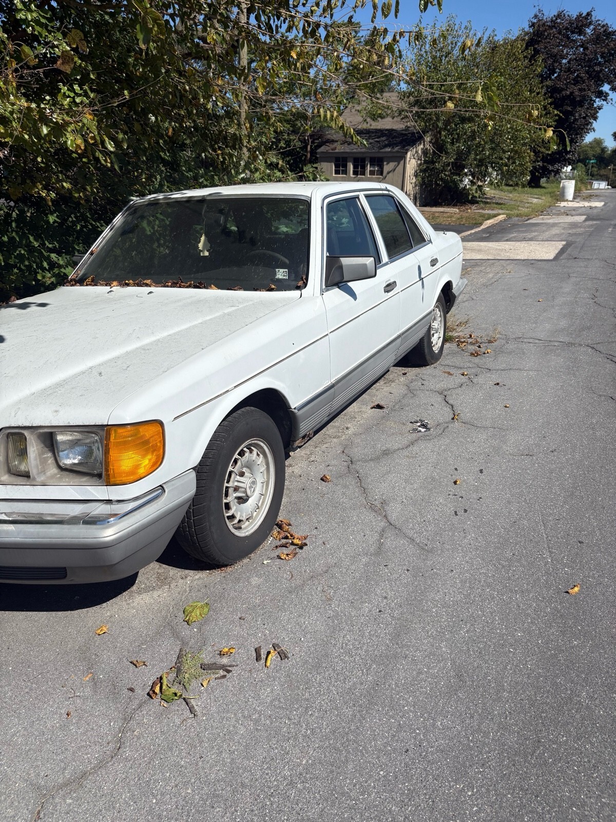 1984 Mercedes-Benz 300-Series SD - photo 5