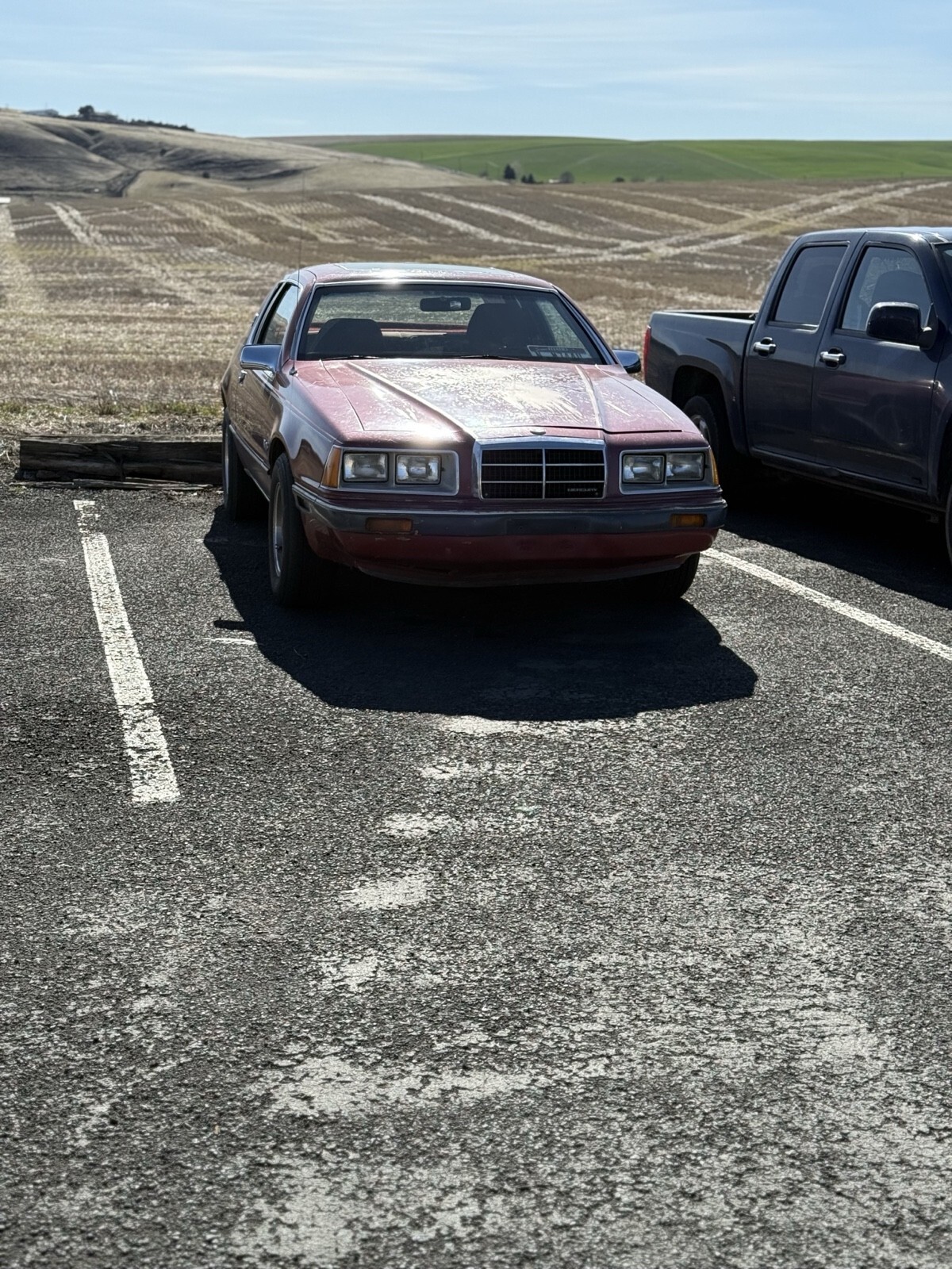 1984 Mercury Cougar - photo 3
