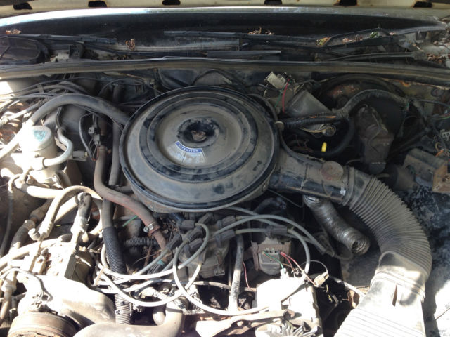 1984 Mercury Grand Marquis - photo 4