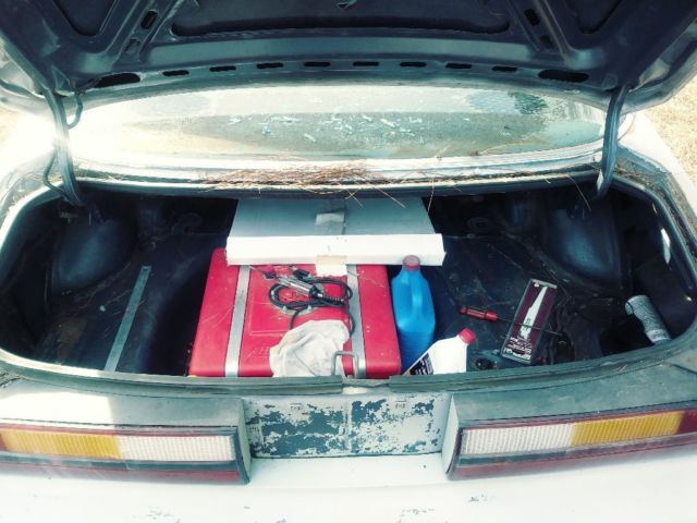 1984 Ford Mustang - photo 8