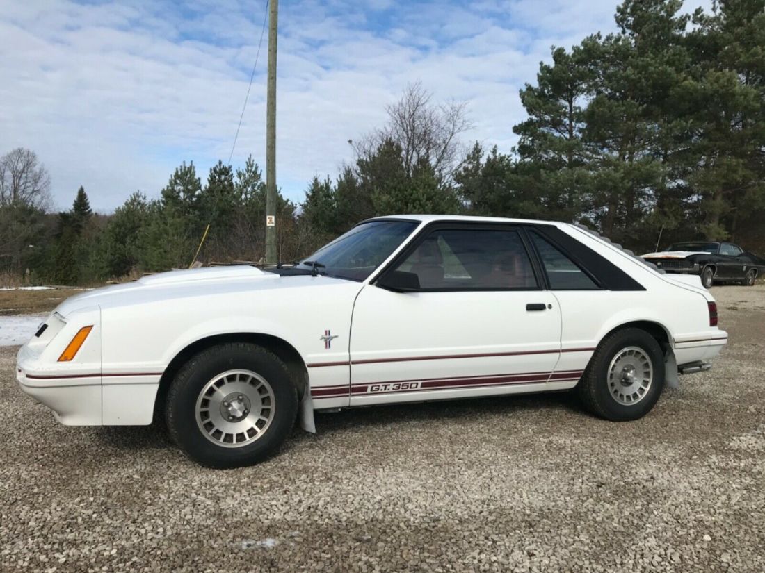 1984 mustang GT-350, Survivor 17,091 Miles!! 1984 Ford Mustang GT-350