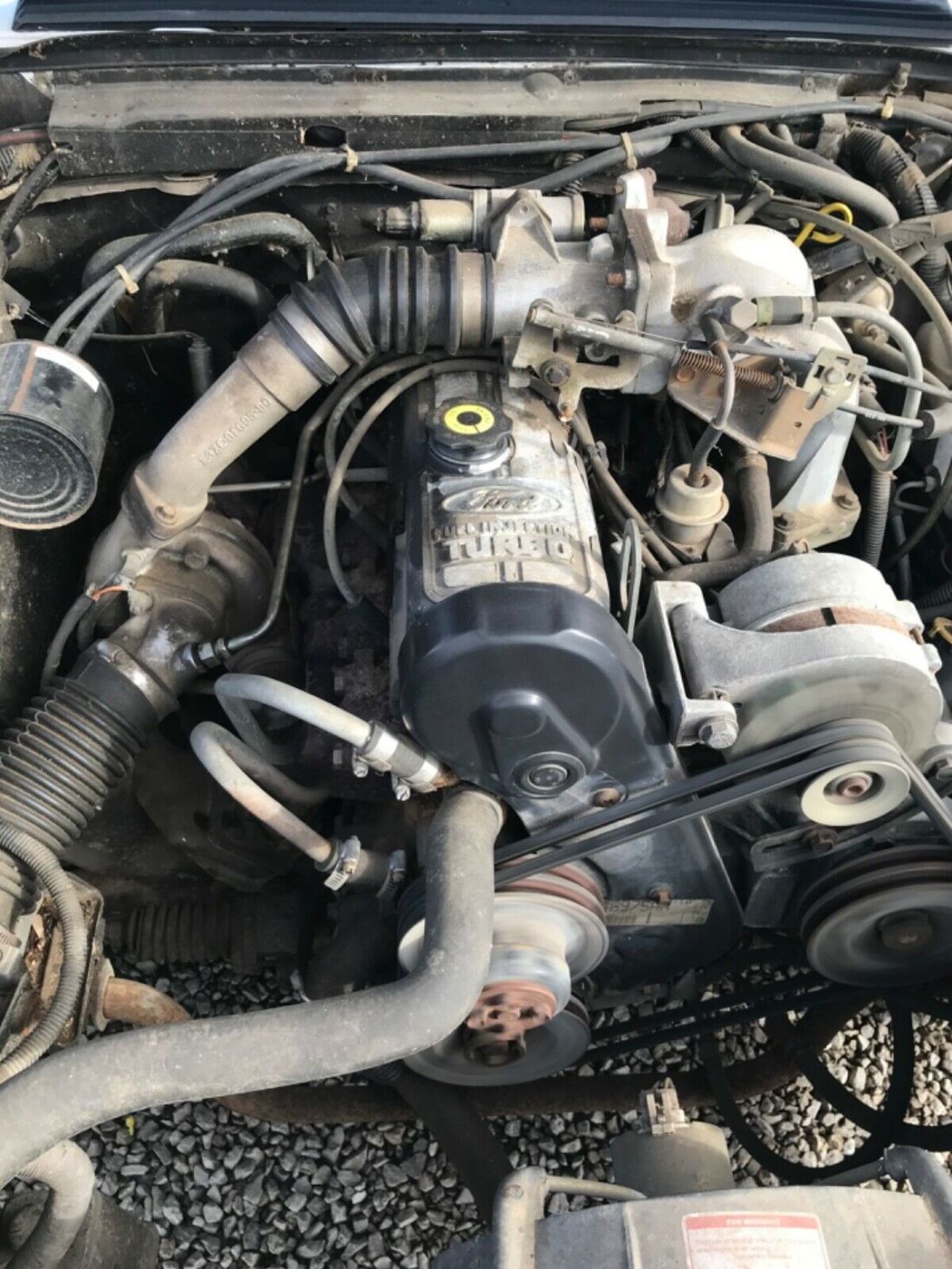 1984 Ford Mustang GT-350 - photo 11