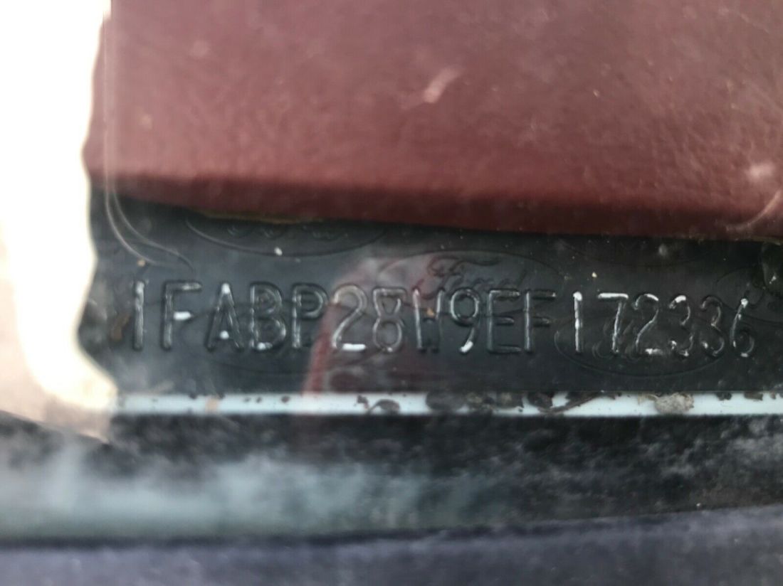 1984 Ford Mustang GT-350 - photo 12