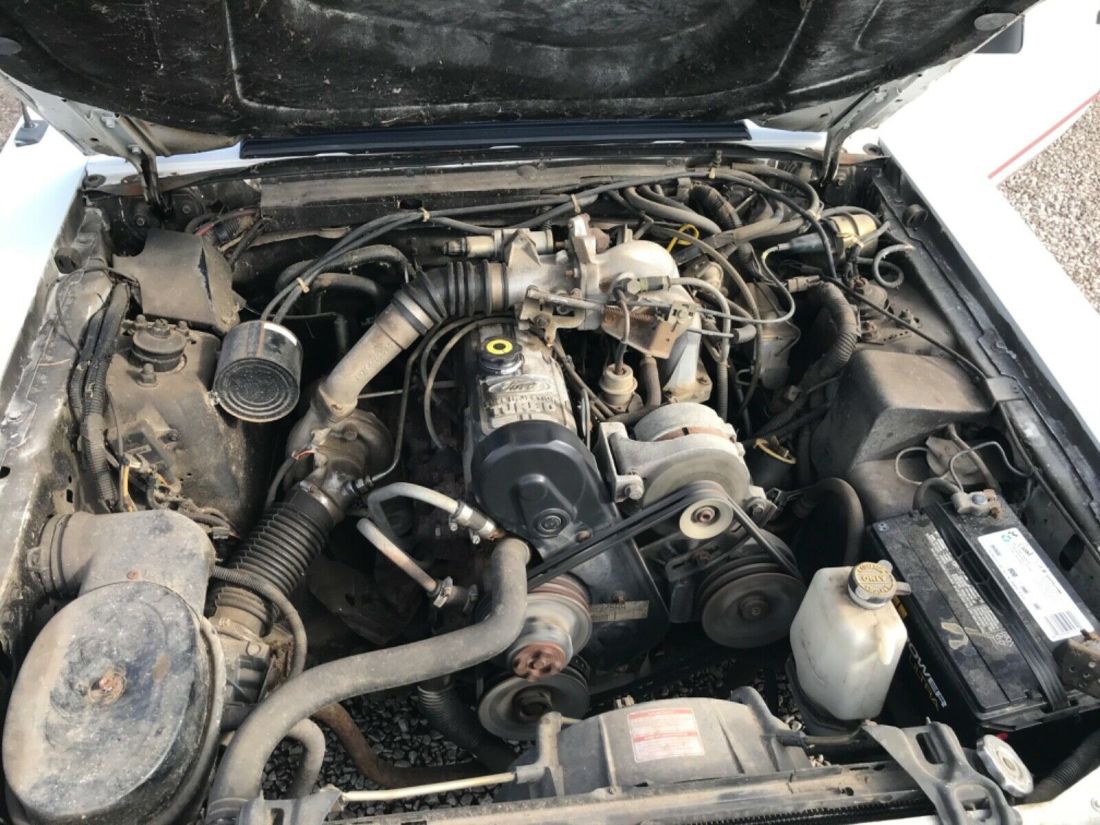 1984 Ford Mustang GT-350 - photo 6