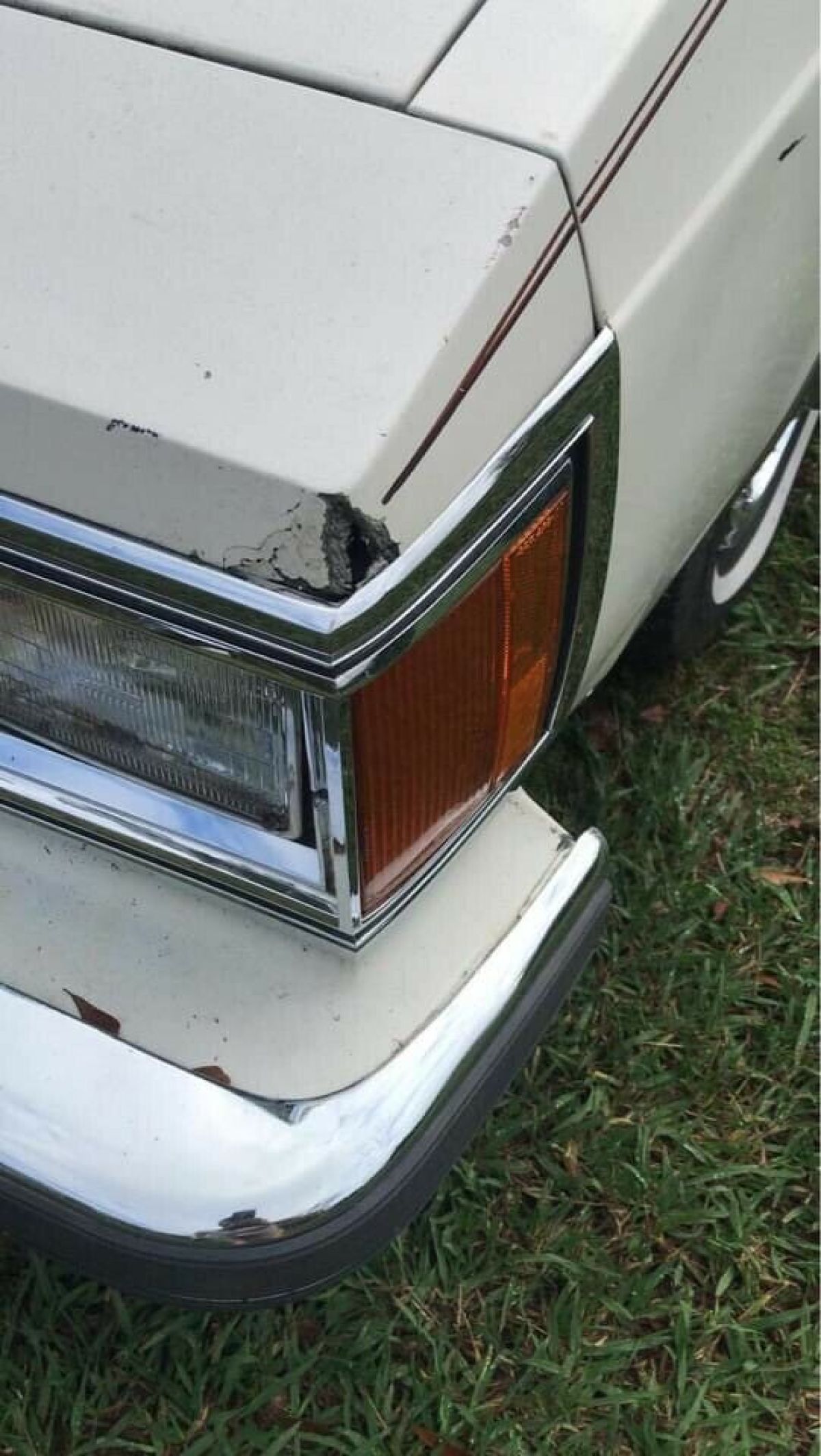1984 Oldsmobile 98 REGENCY BROUGHAM - photo 3