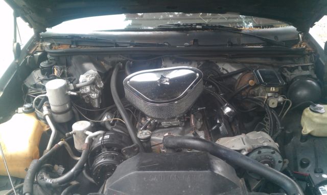 1984 Oldsmobile Cutlass Hurst/Olds - photo 13