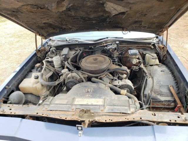 1984 Oldsmobile Cutlass - photo 9