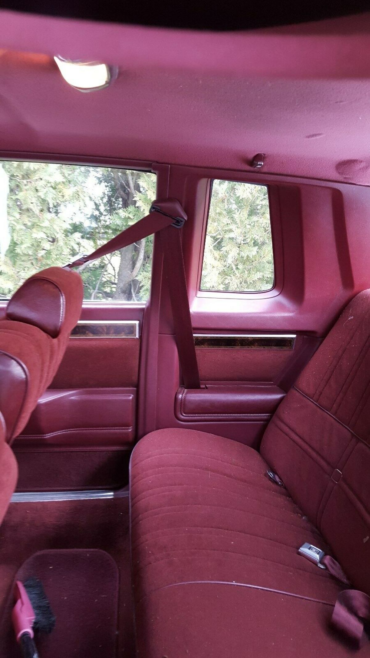 1984 Oldsmobile Cutlass - photo 5
