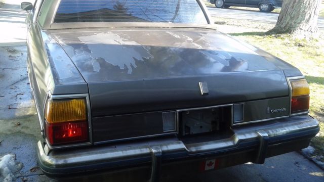 1984 Oldsmobile Eighty-Eight Chrome - photo 8