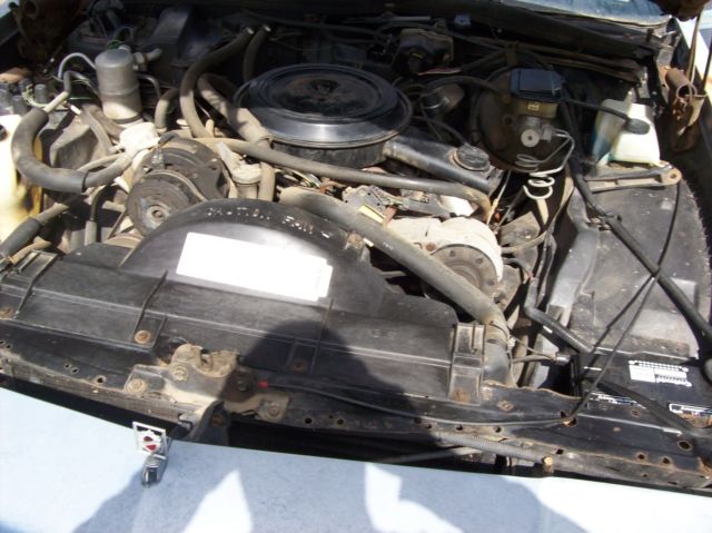 1984 Oldsmobile Eighty-Eight - photo 9