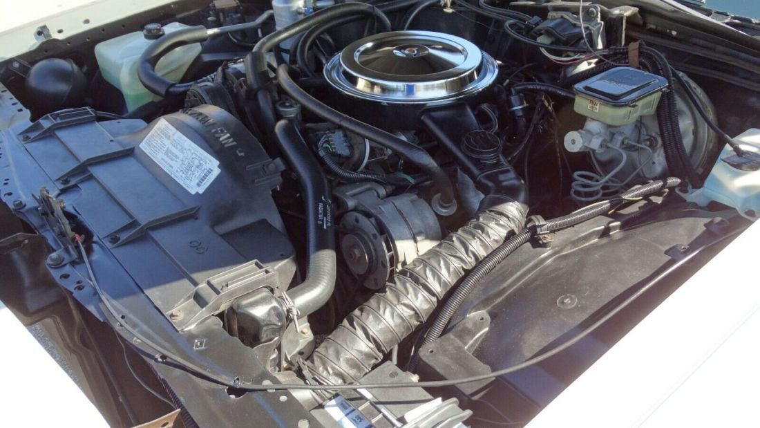 1984 Oldsmobile Eighty-Eight Royale Brougham - photo 7
