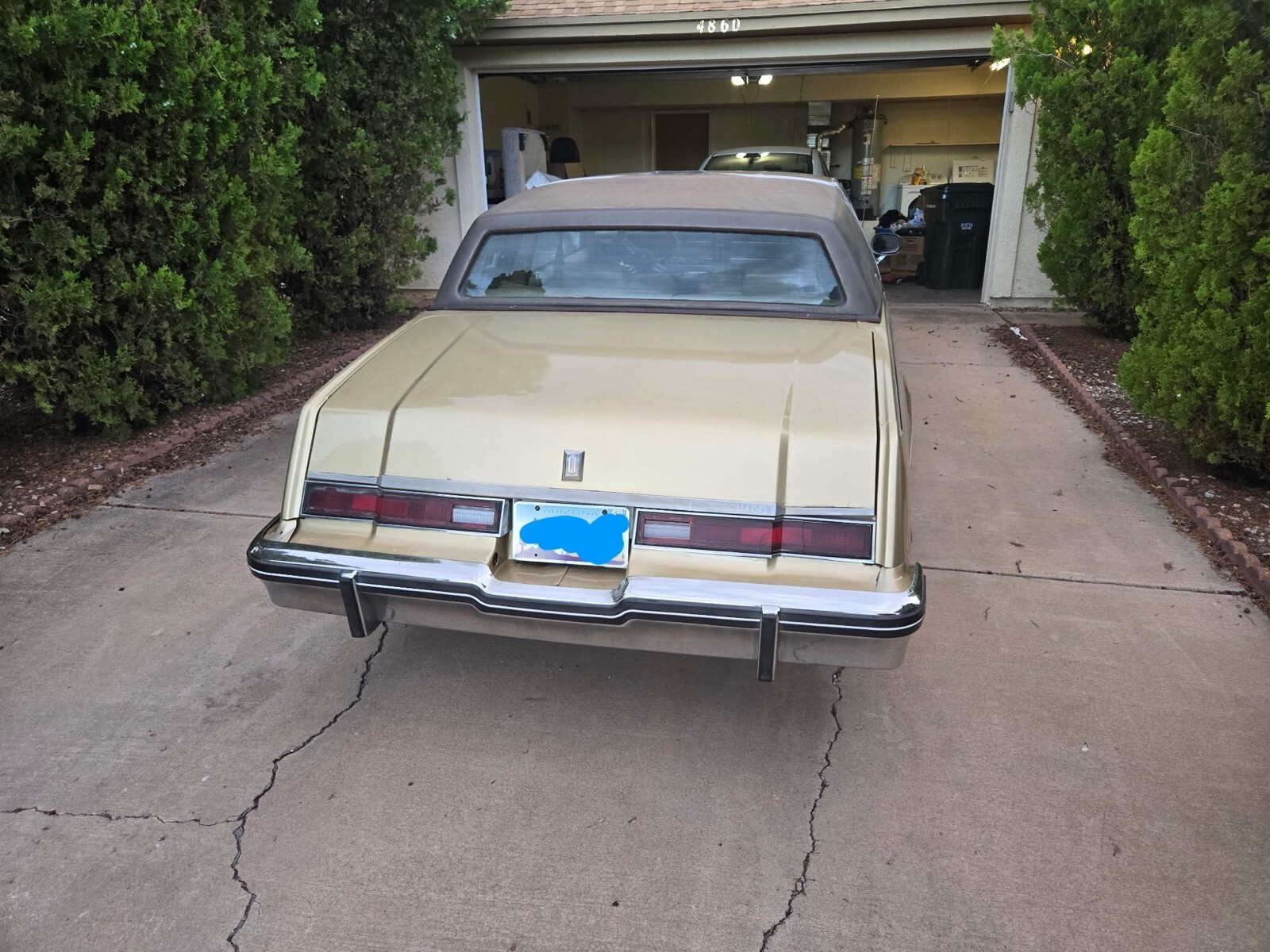 1984 Oldsmobile Toronado Caliente - photo 3