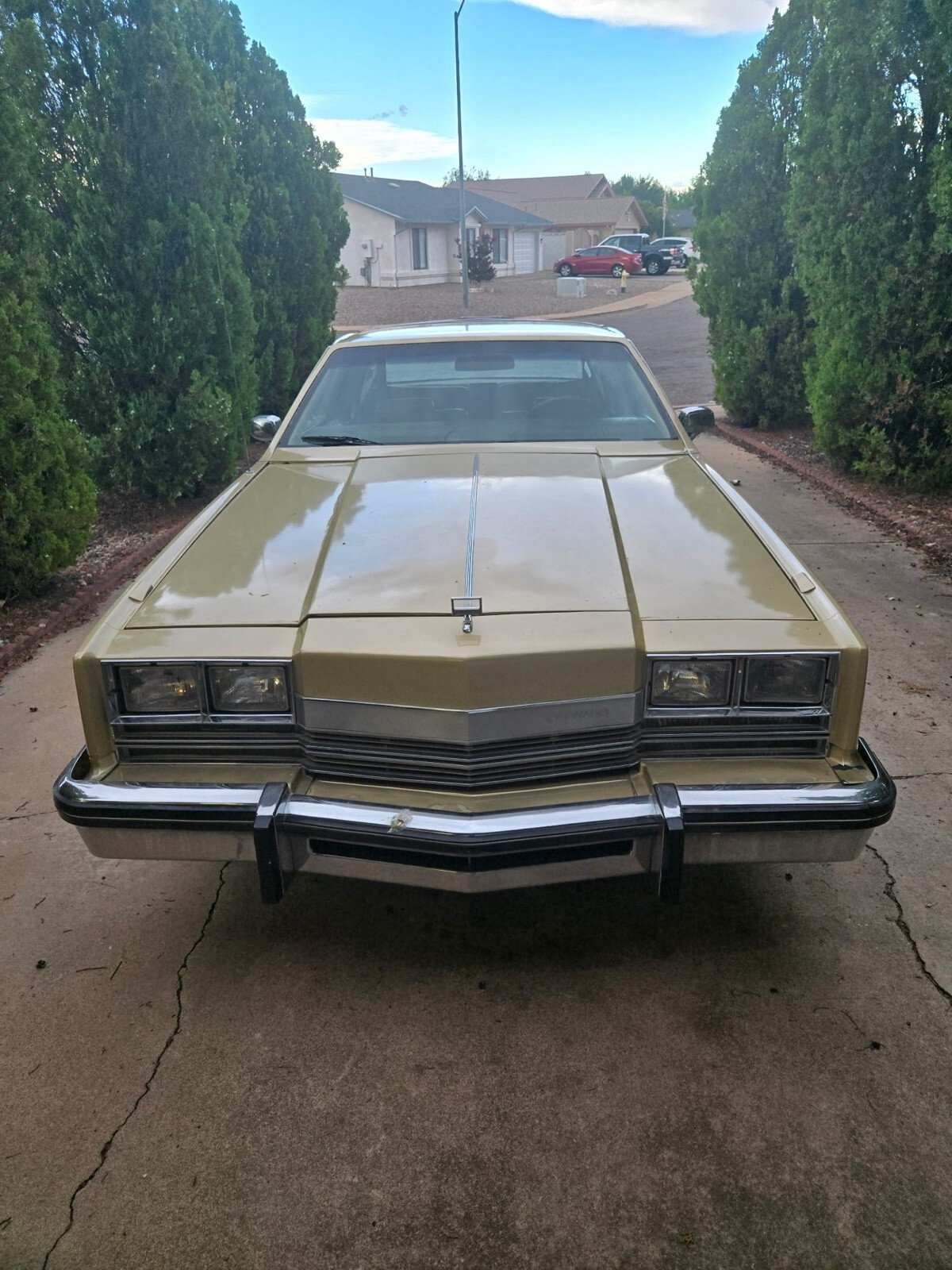 1984 Oldsmobile Toronado Caliente - photo 5
