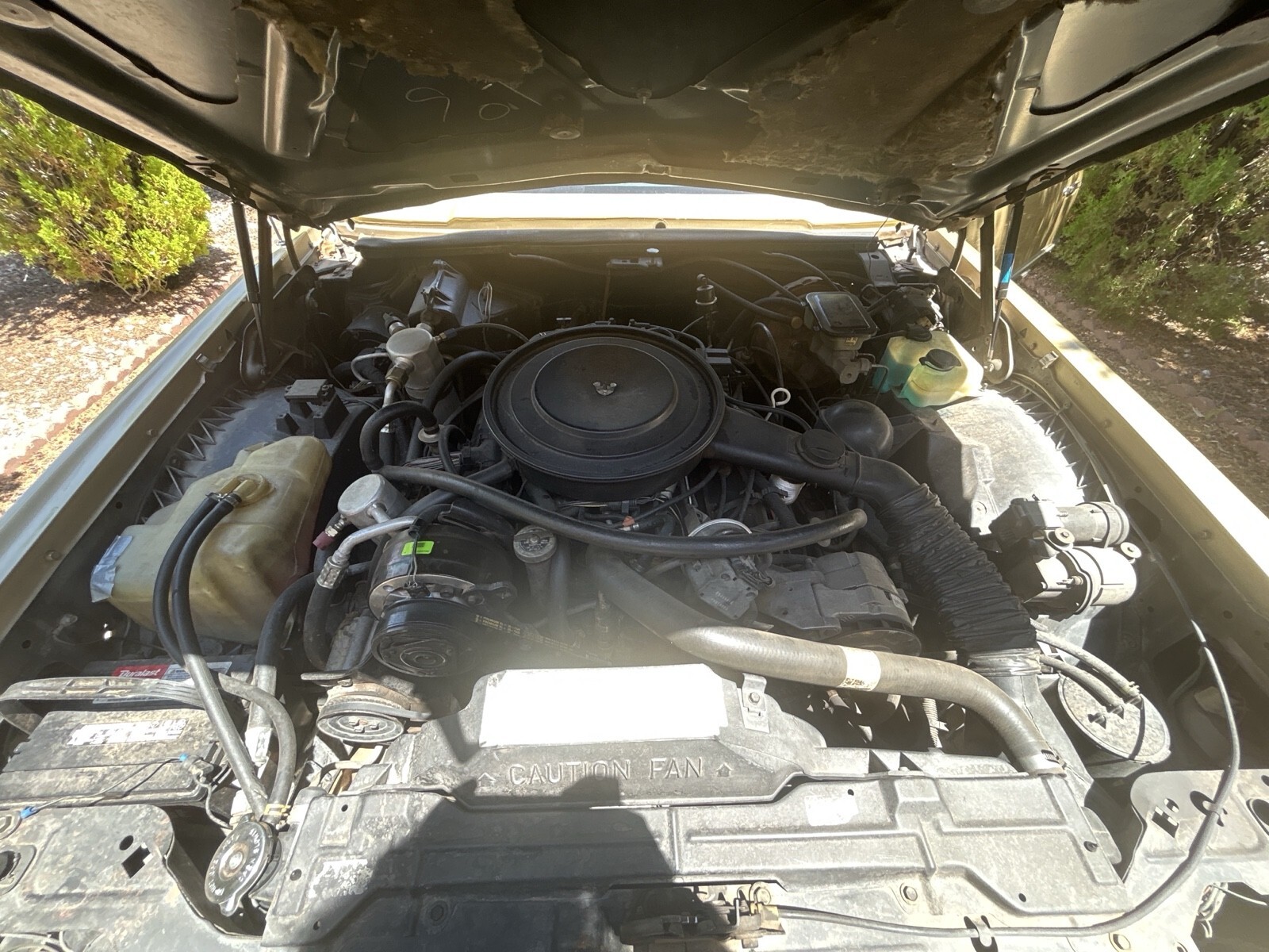 1984 Oldsmobile Toronado Caliente - photo 8