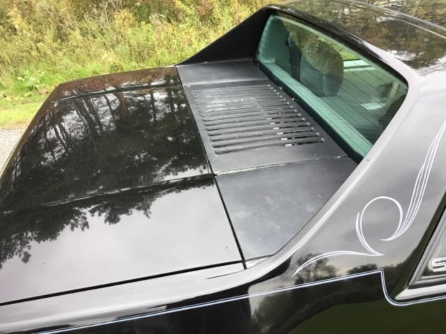 1984 Pontiac Fiero SE - photo 10