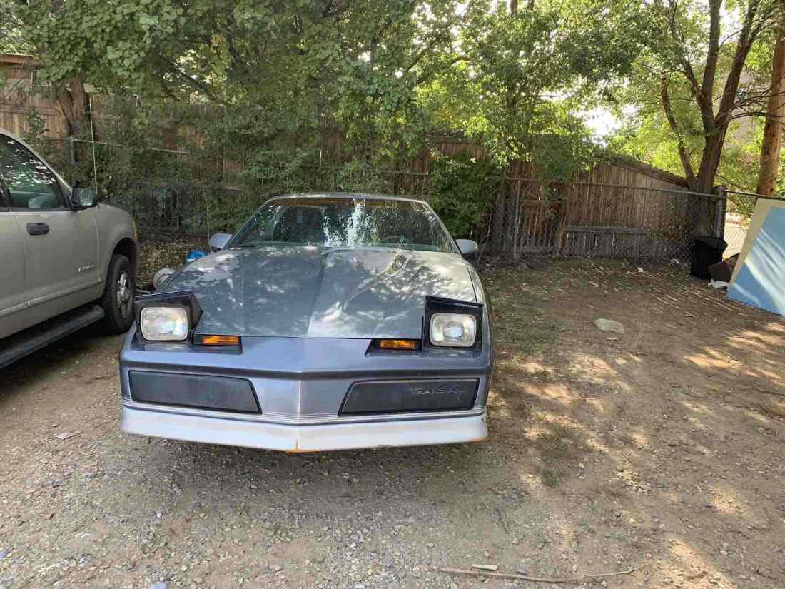 1984 Pontiac Firebird TRANS AM - photo 3