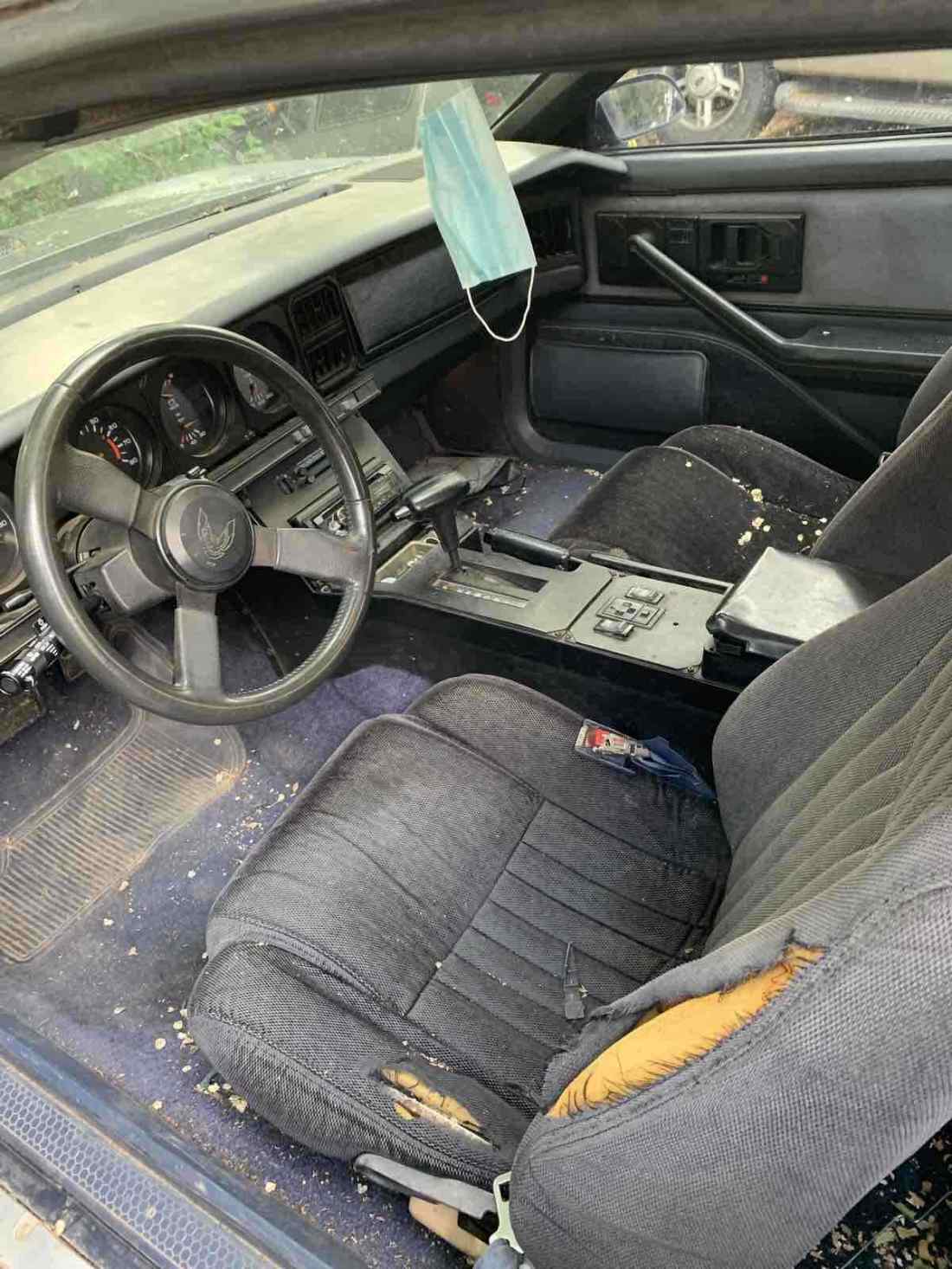 1984 Pontiac Firebird TRANS AM - photo 4