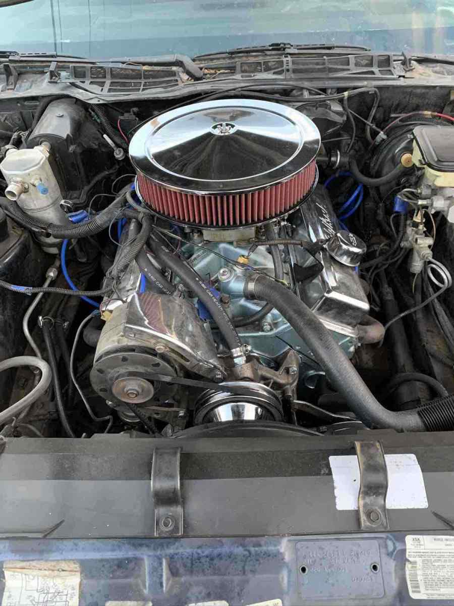 1984 Pontiac Firebird TRANS AM - photo 6